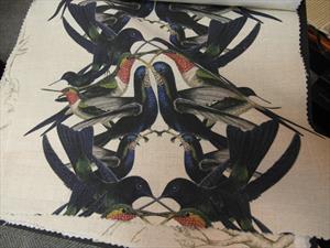 Ткани Tradescant and Son коллекция Hummingbird Stripe, колибри полоска